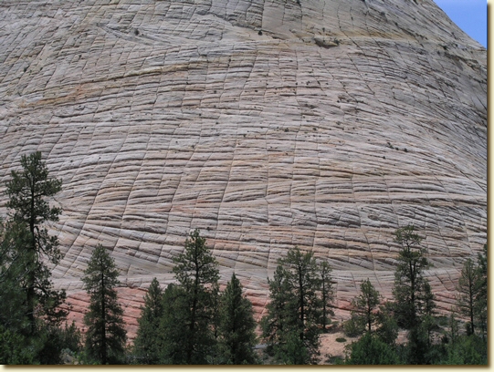 Click for a larger, higher-resolution version