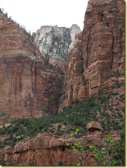 Click for a larger, higher-resolution version