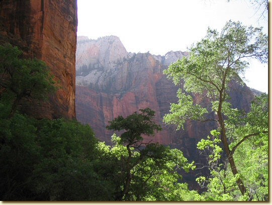 Click for a larger, higher-resolution version