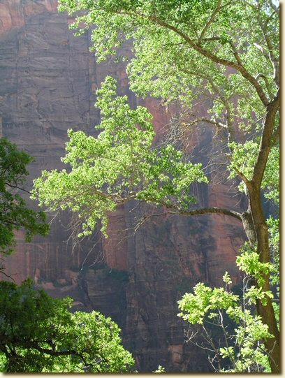 Click for a larger, higher-resolution version