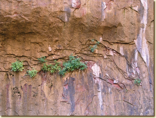 Click for a larger, higher-resolution version