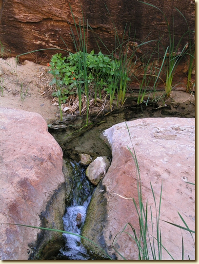 Click for a larger, higher-resolution version