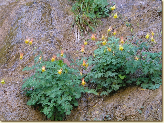 Click for a larger, higher-resolution version