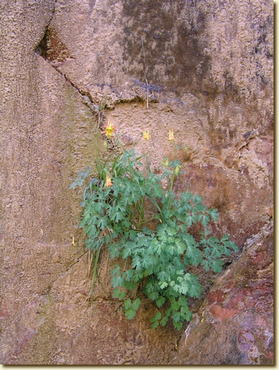 Click for a larger, higher-resolution version