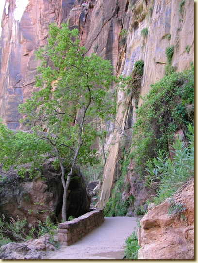 Click for a larger, higher-resolution version