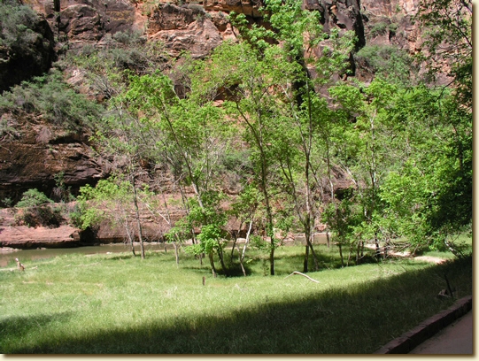 Click for a larger, higher-resolution version