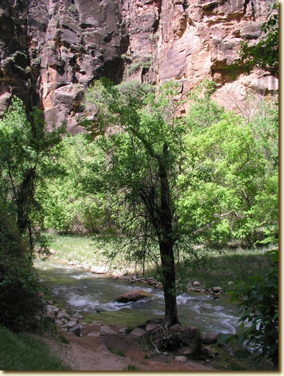 Click for a larger, higher-resolution version