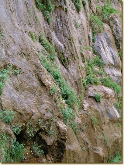 Click for a larger, higher-resolution version