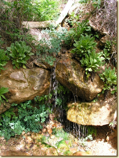 Click for a larger, higher-resolution version