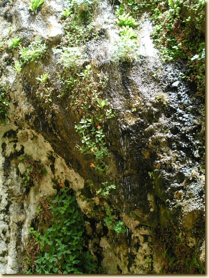 Click for a larger, higher-resolution version