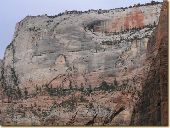 Click for a larger, higher-resolution version