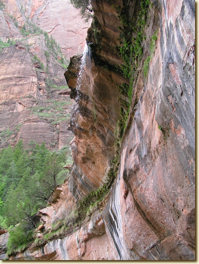 Click for a larger, higher-resolution version