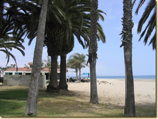 Click for a larger, higher-resolution version