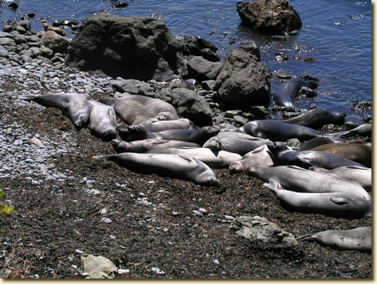 Click for a larger, higher-resolution version