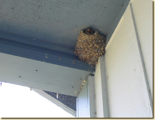 Click for a larger, higher-resolution version