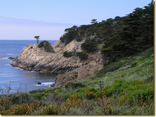 Click for a larger, higher-resolution version