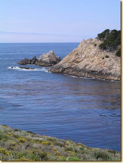 Click for a larger, higher-resolution version