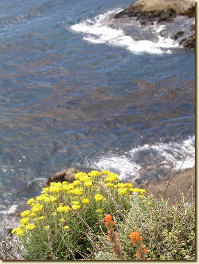 Click for a larger, higher-resolution version