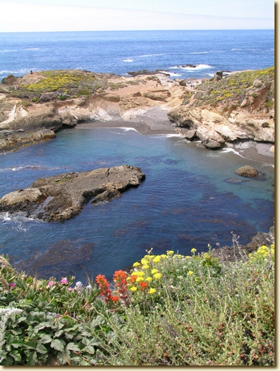 Click for a larger, higher-resolution version