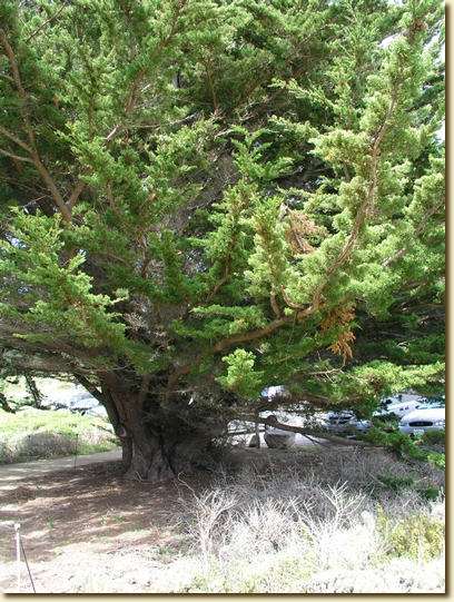 Click for a larger, higher-resolution version