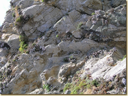 Click for a larger, higher-resolution version