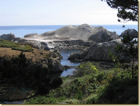 Click for a larger, higher-resolution version