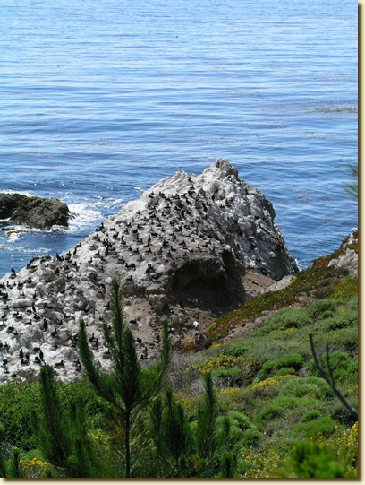 Click for a larger, higher-resolution version