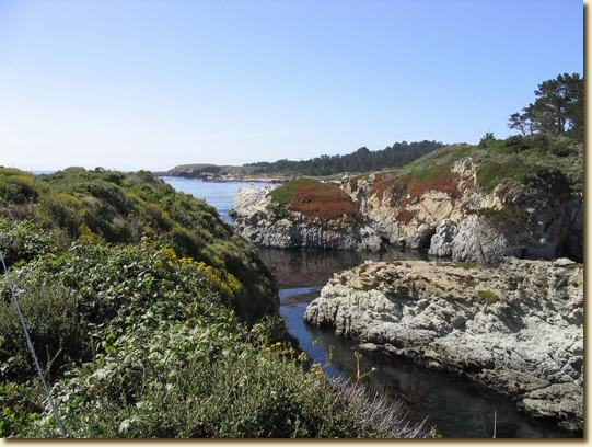 Click for a larger, higher-resolution version