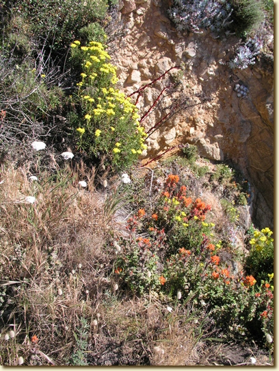 Click for a larger, higher-resolution version